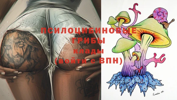 шишки Навашино
