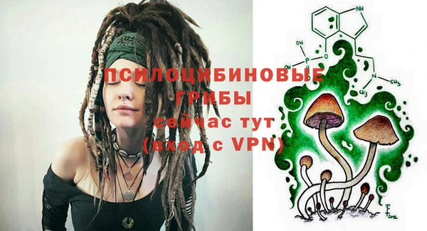 мет Надым