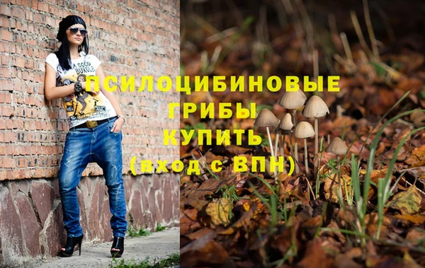 крисы Наволоки