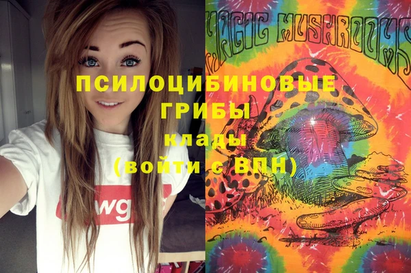 мдпв Нефтегорск
