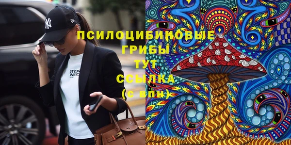 мдпв Нефтегорск