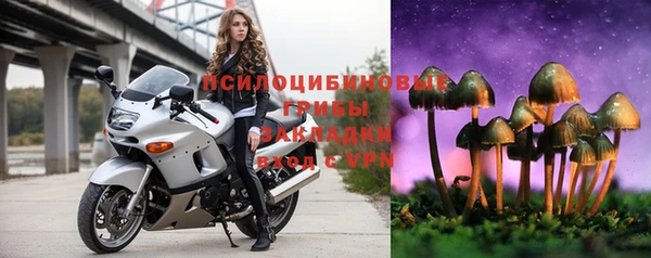 мет Надым