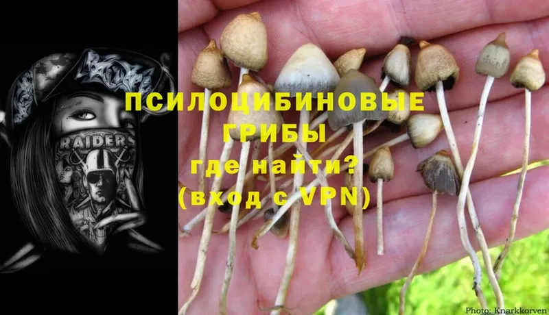 как найти закладки  Златоуст  Галлюциногенные грибы GOLDEN TEACHER 