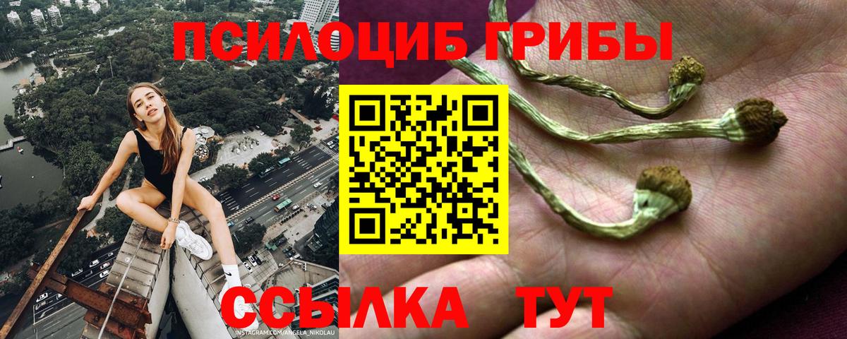 Галлюциногенные грибы прущие грибы Златоуст